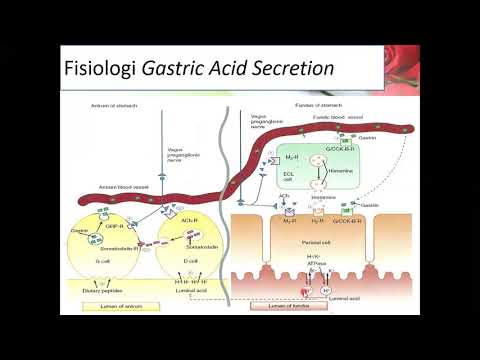 Farmakologi pada tractus digestivus