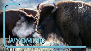 Wild Wyoming: People & the Great Outdoors | myDOCS travel