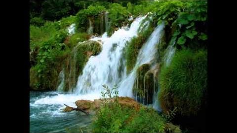 سورة هود صوت الشيخ أبو بكر الشاطري