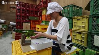 西日本豪雨： 被災した呉市の酒蔵　一部で出荷再開