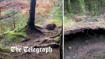 Forest floor in Scotland appears to ‘breathe’ as Storm Babet winds lift roots