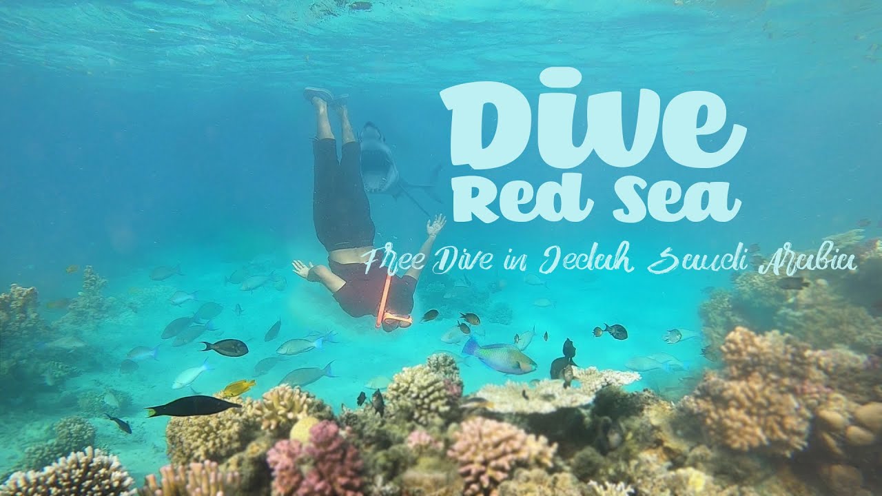 Visit jeddah saudi arabia Free Snorkeling in Saudi Arabia Jeddah Red