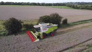 Last of Harvest 2020