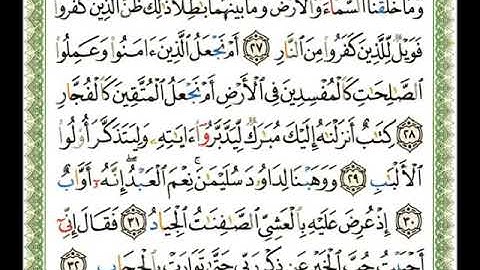 سورة ص   ناصر القطامي