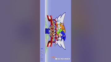 How to get debug mode in Sonic 2 for android and ios