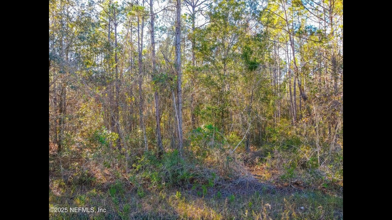 10265 Flikkema Ave,  Hastings, FL 32145 - Tari Taylor Kari Francom - MLS 2122061