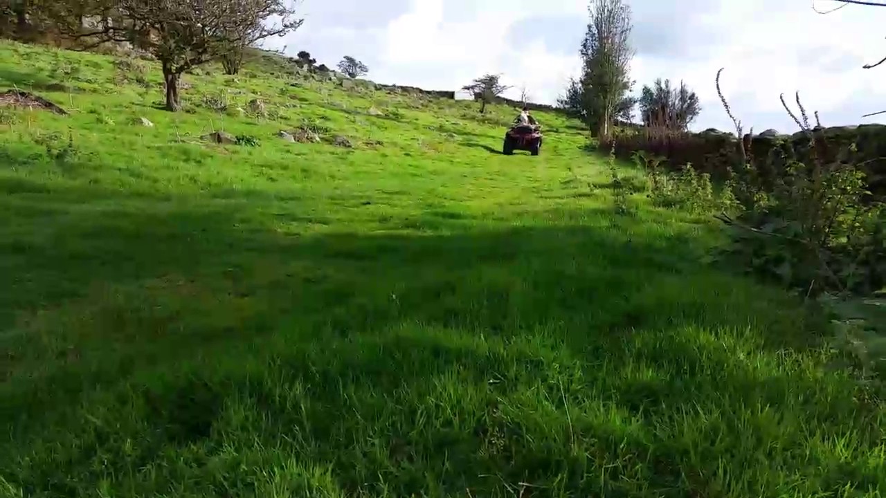 Ferreting with Ryan wilby 