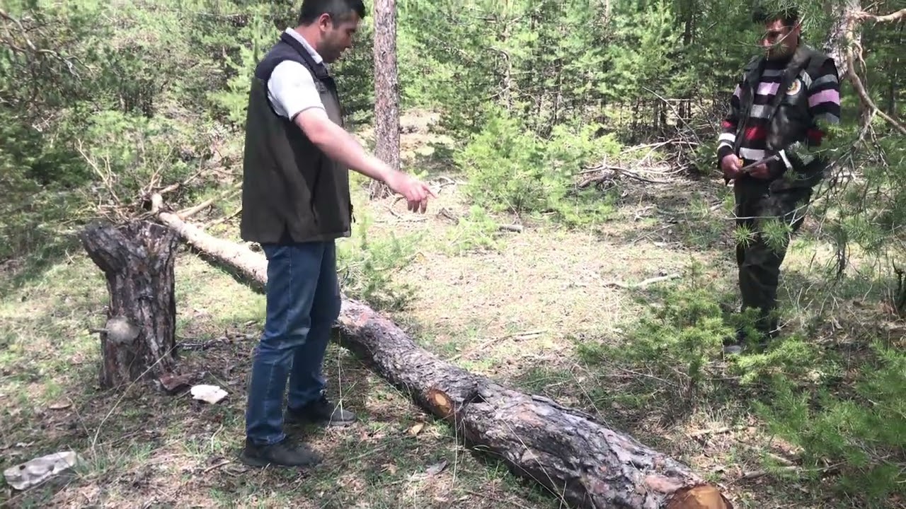 Boylama Nasıl Yapılır -2