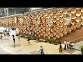 Delhi T3 Airport Arrival | Complete Tour of Delhi International Airport Arrival