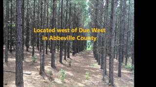 Abbeville County A943