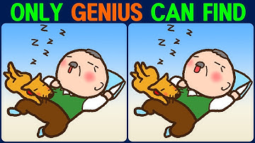 Brain exercise quiz! Find the difference between! │ Have fun, focus and improve your memory.