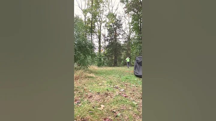 Archery practice