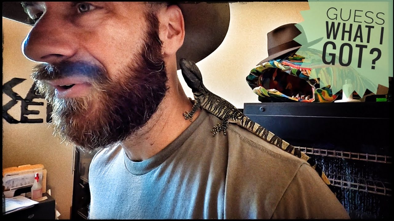 I Got a NEW Monitor Lizard!