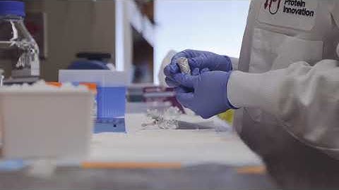 Biophysics at IPI | Inside the Pipeline