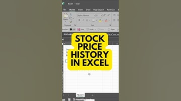 Stock price history in excel! 📉