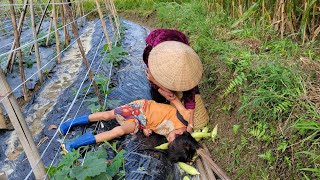 FULL VIDEO: Orphan boy Khai, harvesting oranges, sticky corn, mustard greens, rescuing lost puppies.