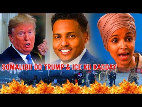 ICE OO 100 QOF XABSIGA DHIGTAY SUUQII SOMALIDA LAGA KALA YAACAY 