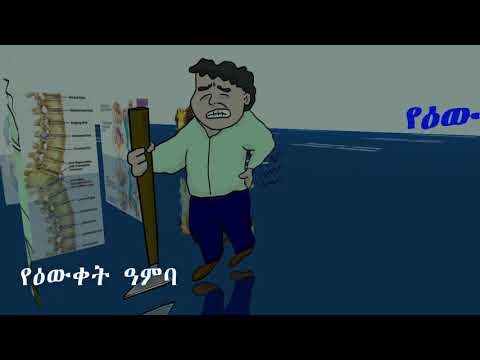 ቪዲዮ: ለአበቦች መደርደሪያ (81 ፎቶዎች) - ወለል እና በመስኮቱ ላይ ፣ የጀርባ ብርሃን። እራስህ ፈጽመው. ለበረንዳ ፣ ለእንጨት እና ለሌሎች ለተክሎች ሞዴል