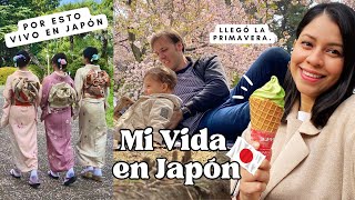 Mi Primavera en Japón! ¿Es todo puro Marketing?  | Vlog 12