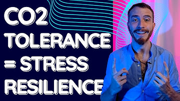 USING THE BREATH TO REDUCE STRESS (The Role of CO2 Tolerance)