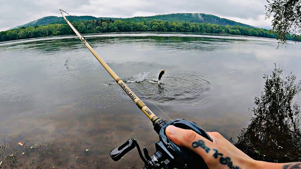 GIANT RIVER SMALLIES CRUSHED THE SWIM BAIT!!! (Susquehanna River)
