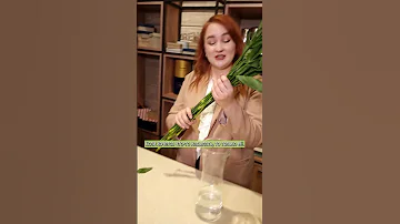 Класть ли в вазу с букетом цветов аспирин или сахар? 🤔 Что можно и нельзя сыпать #shorts