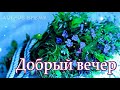 КРАСИВЫЕ ПЕСНИ ОБО ВСЁМ...ДОБРЫЙ ВЕЧЕР!