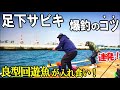 足下サビキでアジを狙ったら良型の回遊魚が入れ食いで大漁!釣果が倍増するサビキが連発してすごかった