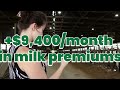 HerdHQCaseStudy: The Chronic Cow Driving UP Bulk Tank SCC