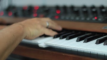 SEQUENTIAL Prophet 5 Vangelis Style Horns