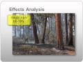 Part 5--Strategic-Level Risk Assessment for Fire Behavior Specialists: Effects Analysis