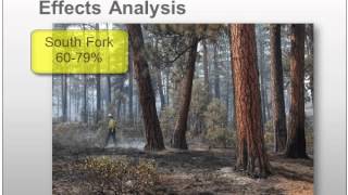 Part 5--Strategic-Level Risk Assessment for Fire Behavior Specialists: Effects Analysis