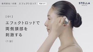 取扱店】EMS美顔器 ステラボーテ ビューティースティック 2.0｜【公式