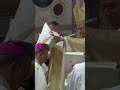 Highlights, Holy Mass with Episcopal Ordinations #popeleoxiv #shorts