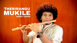 Therirangu Mukile | Flute Cover | Anunand S | Mazhathulli Kilukkam