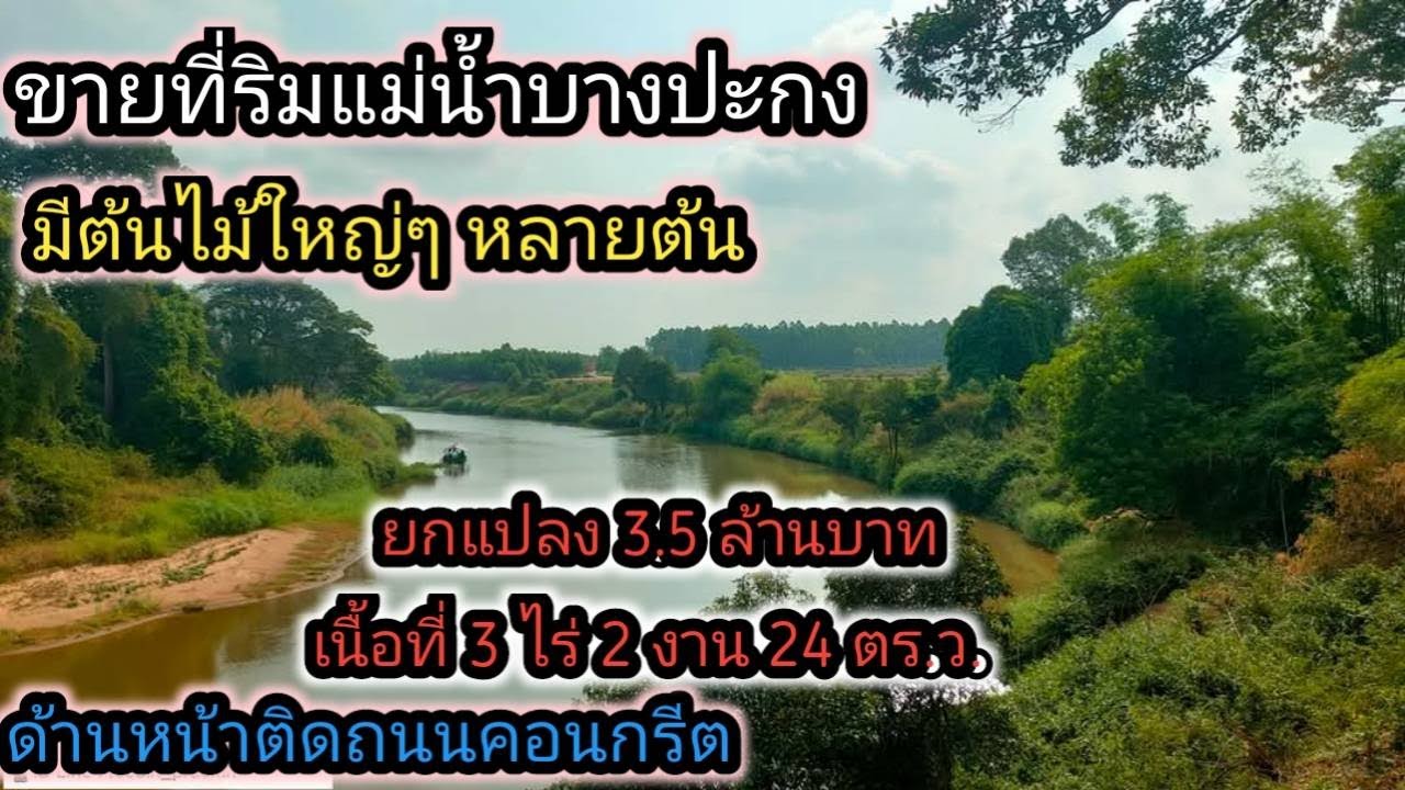 ขายที่ริมแม่น้ำบางปะกง ที่ดินมีต้นไม้ใหญ่ๆ  วิวแม่น้ำสวยๆ ร่มรื่น เนื้อที่ 3 ไร่เศษ