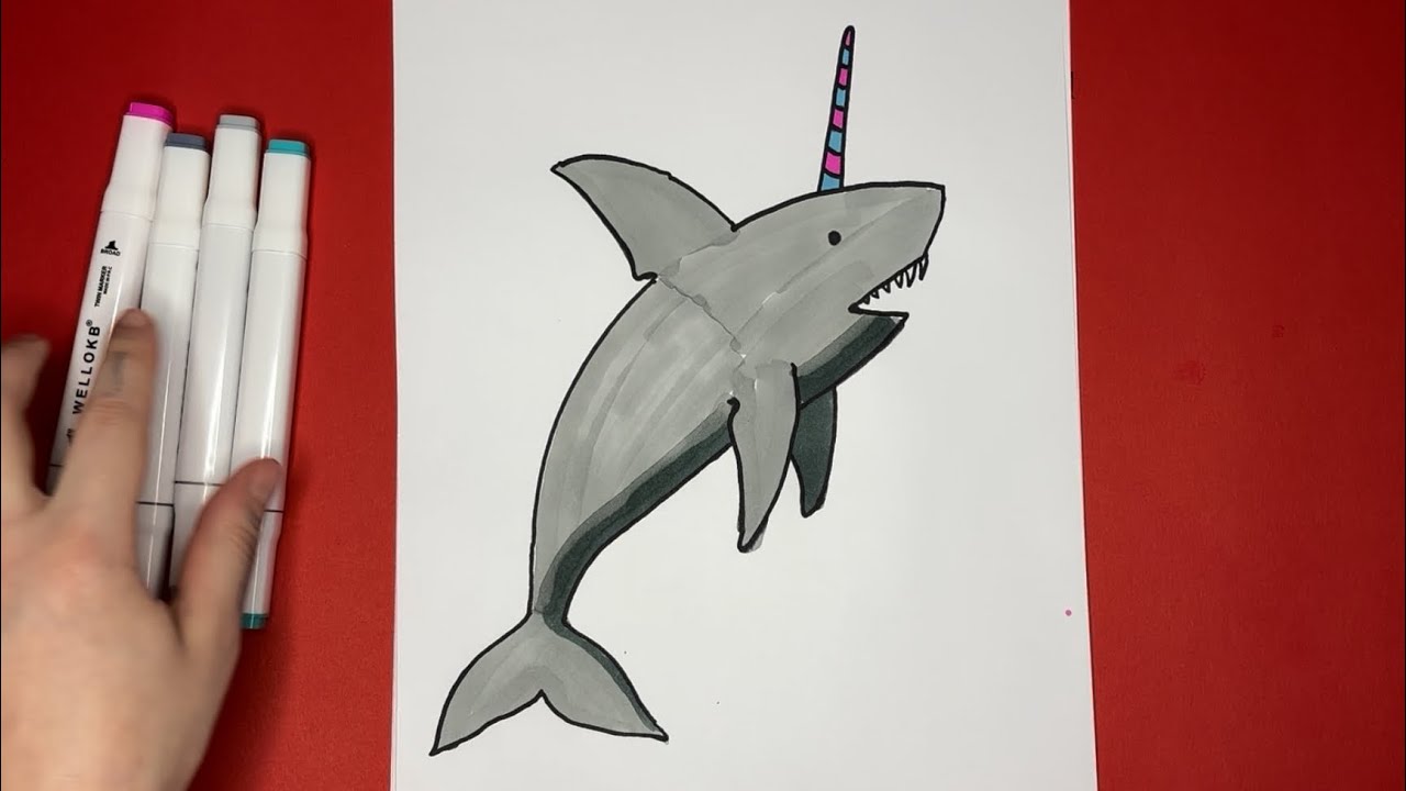 How to draw and color a unicorn shark - YouTube