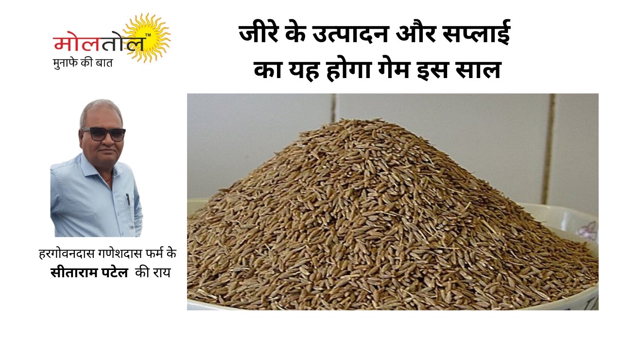 जीरे के उत्‍पादन और सप्‍लाई का यह होगा गेम इस साल