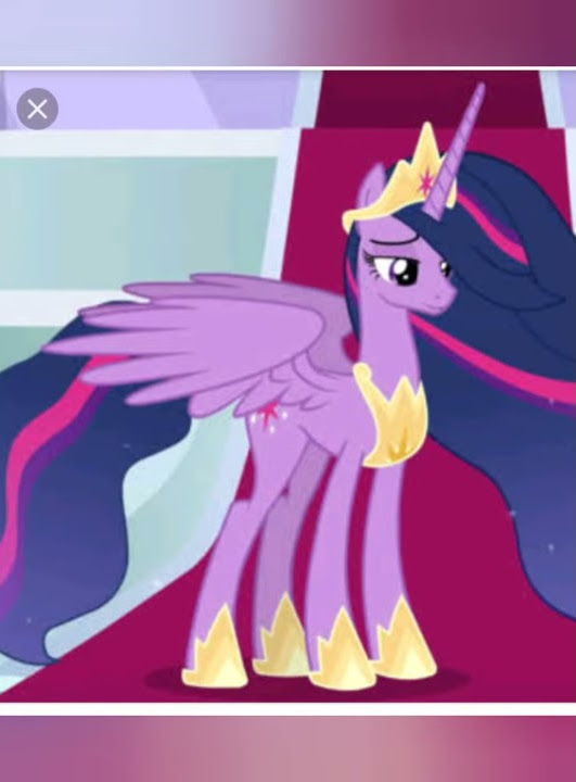Lotek poni