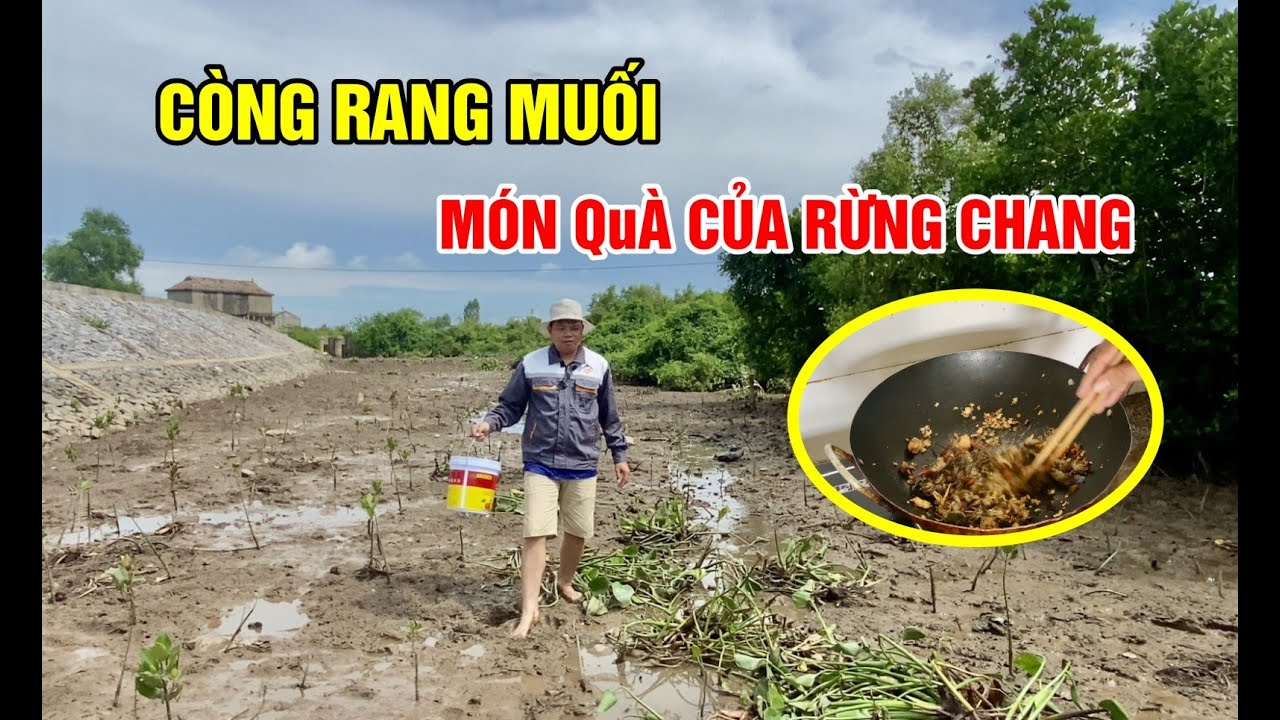 Còng RANG muối siêu ngon! lạc vào rừng chang - YouTube