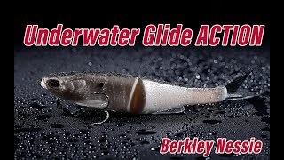 Unlock The Full Potential Of The Berkley Nessie Underwater Action