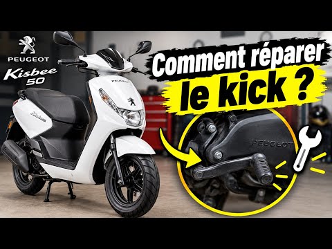 Rochet DE Starterschale Für Peugeot 50 TKR, Trekker, BUXY, LUDIX – Anpassbarer Variator-Wangenstern