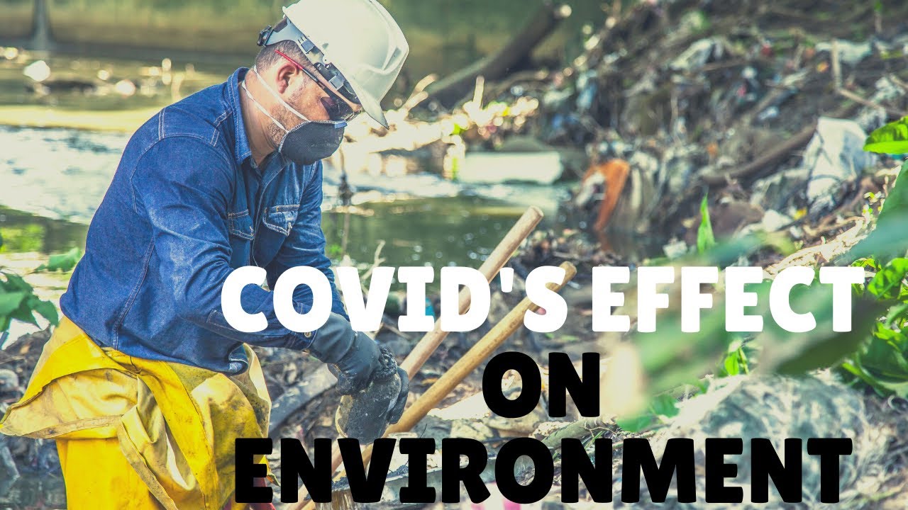 Top tips for environment safety - YouTube