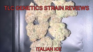 Italian Ice Cannabis Flower (Strain Review): The TLC Genetic Show 
