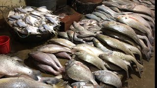 Karachi Fish Market | Local Fresh Fish | Mamma' Kitchen