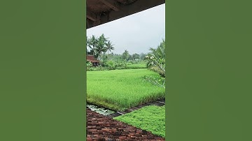 Thumbnail of Terbuang dalam waktu | barasuara #short #music