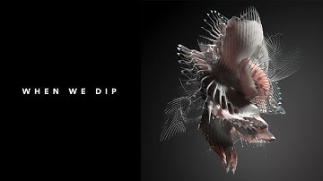 Premiere: Echonomist - Dominator [HABITAT]