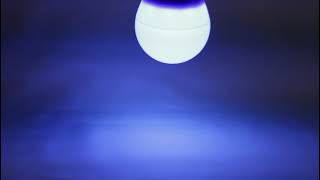 マキテックカラーLED電球　青色　MPL-B-5/BLUE screenshot 5