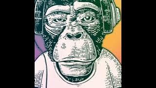 Dj Ape *Mini Sample Mix*