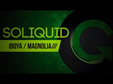 Soliquid — Soliquid - Magnolia (Original Mix)